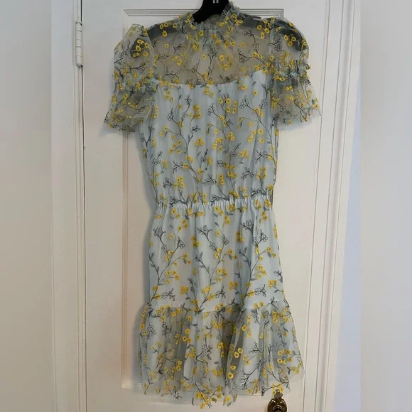 sachin and babi light blue dress Monique Lhuillier Floral-Embroidered Tulle Cocktail Dress main image 0